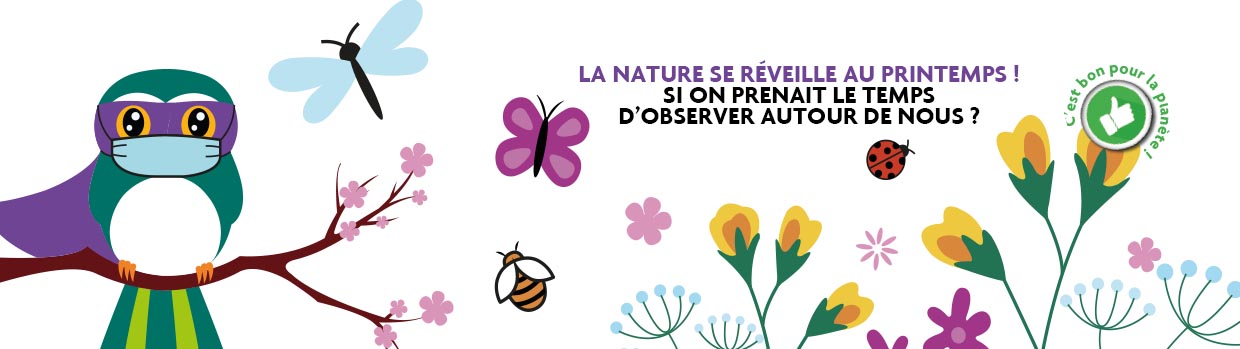 Bandeau de la page 'Mission 2 # : à la découverte de la Biodiversité