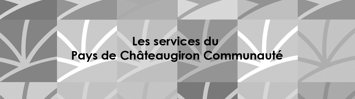 Bandeau de la page 'Les services du Pays de Châteaugiron Communauté
